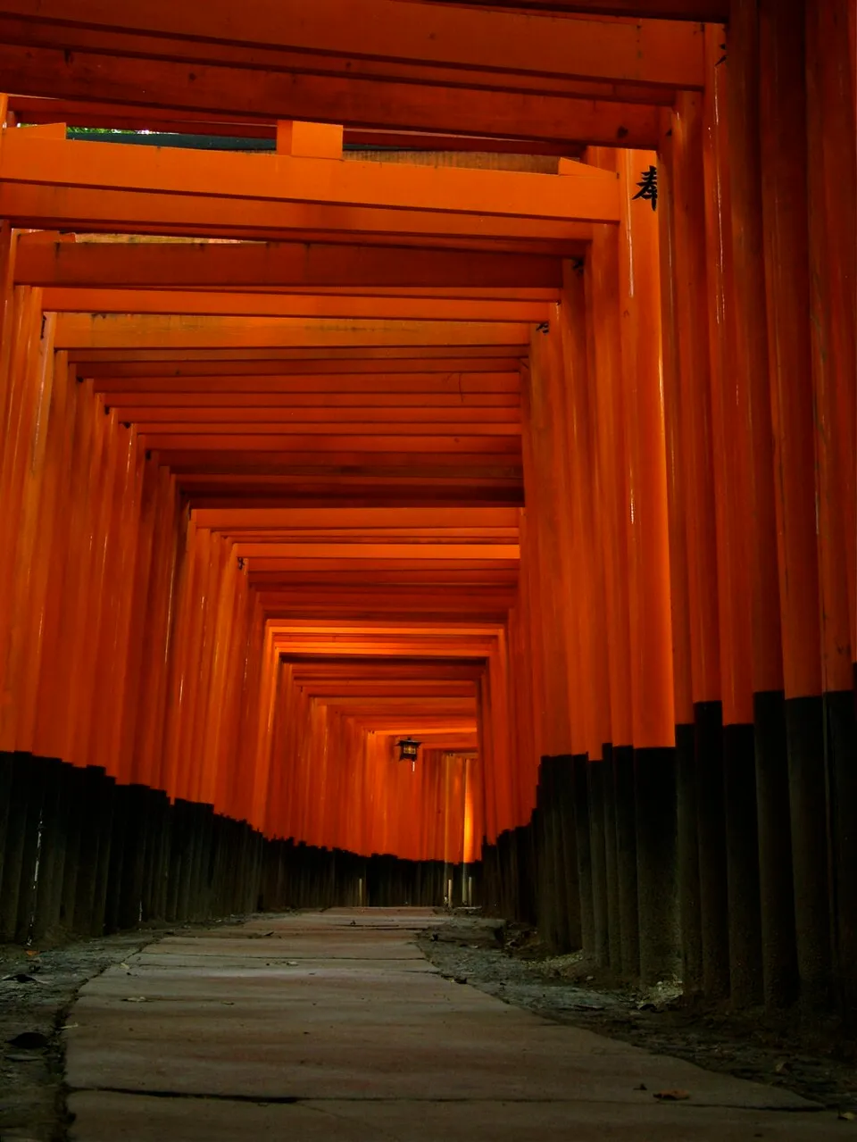 Torii gates at Fushimi Inari