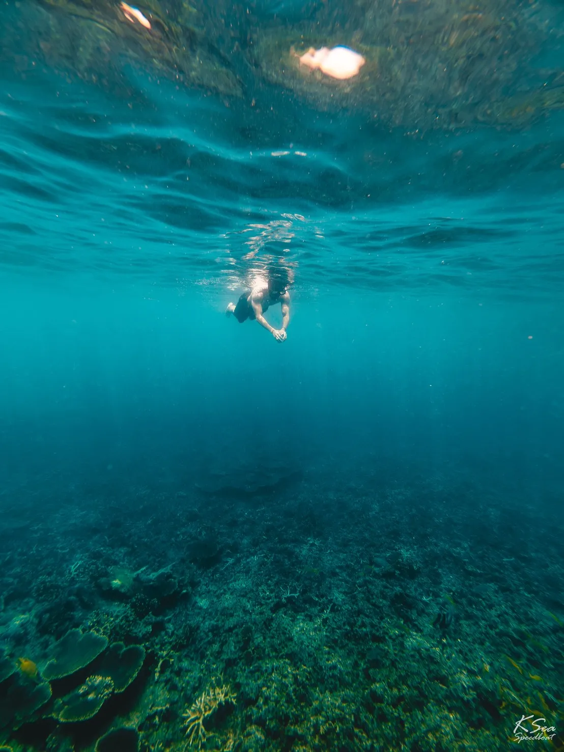 Underwater scene from the Koh Samui trip
